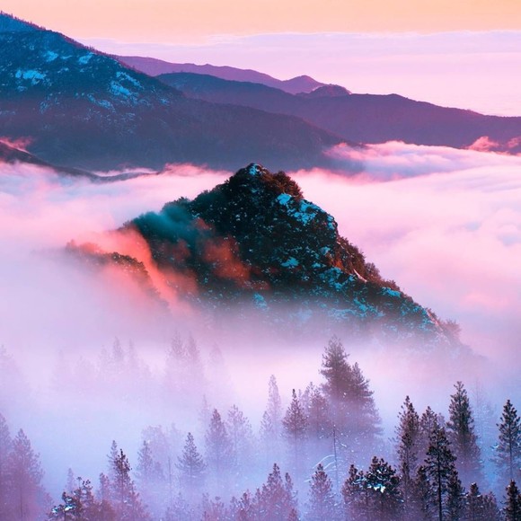 Meet your Posher, Zoe - Picture 1 of 1